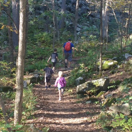 the perfect guide.jpg